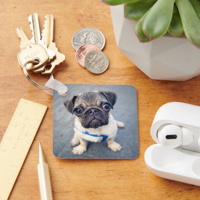 Cutest Baby djur | Baby Pug Nyckelring (Skrivbord)
