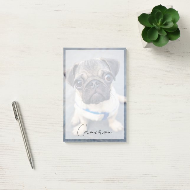 Cutest Baby djur | Baby Pug Post-it Block (Kontor)