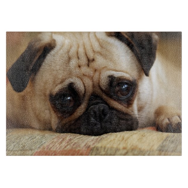 Cutest Baby djur | Baby Pug Puppy (Framsidan)