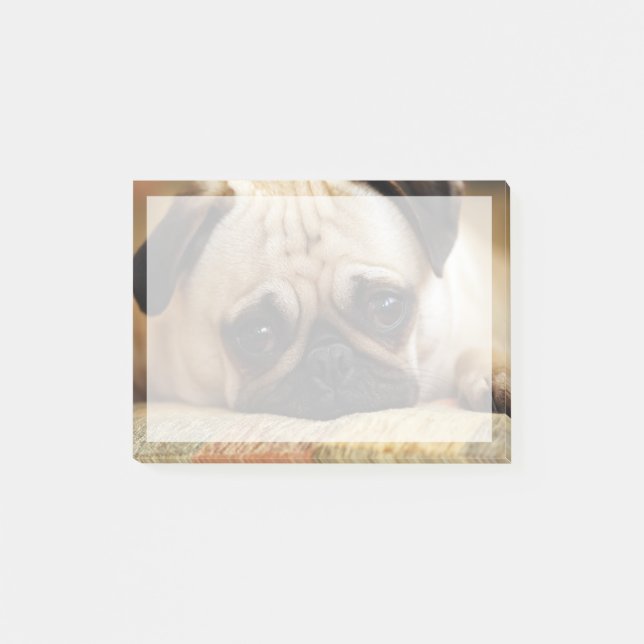 Cutest Baby djur | Baby Pug Puppy Post-it Block (Framsida)