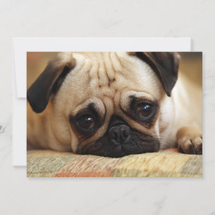 Cutest Baby djur Baby Pug Puppy Tack Kort