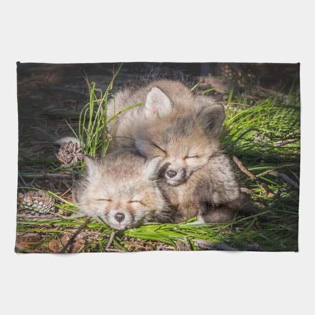 Cutest Baby djur | Baby Red Fox Kits Sleeping Kökshandduk (Horisontell)