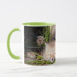 Cutest Baby djur Baby Red Fox Kits Sleeping Mugg