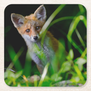 Cutest Baby djur Baby Red Fox Underlägg Papper Kvadrat