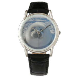 Cutest Baby djur   Baby Seal Armbandsur