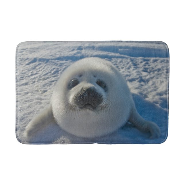 Cutest Baby djur | Baby Seal Badrumsmatta (Framsidan)
