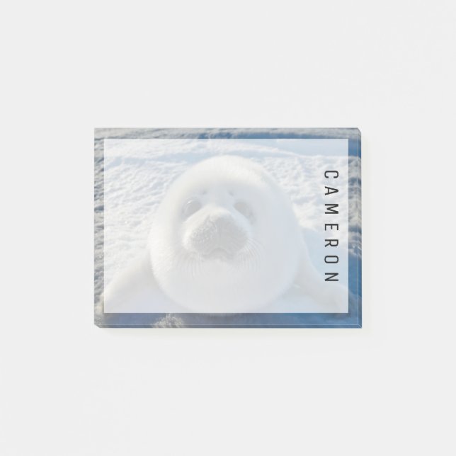 Cutest Baby djur | Baby Seal Post-it Block (Framsida)