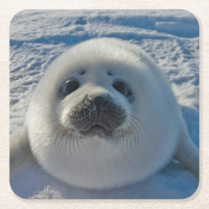 Cutest Baby djur Baby Seal Underlägg Papper Kvadrat