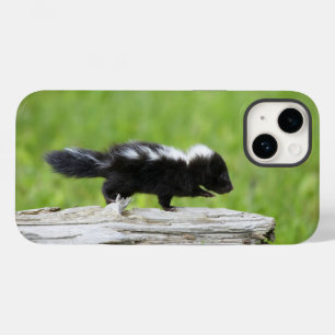 Cutest Baby djur Baby Skunk
