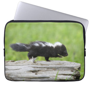 Cutest Baby djur Baby Skunk Laptop Fodral