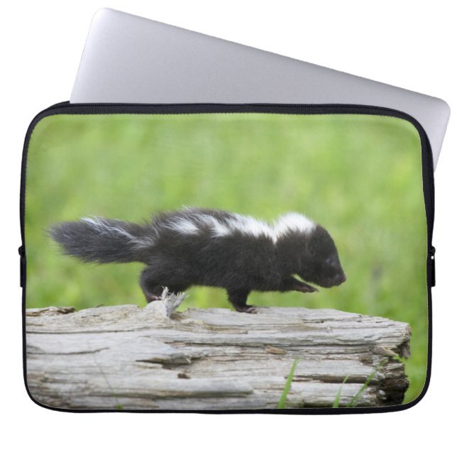 Cutest Baby djur | Baby Skunk Laptop Fodral (Framsidan)