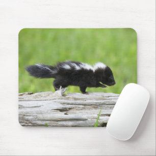 Cutest Baby djur Baby Skunk Musmatta