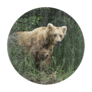 Cutest Baby djur Bär Mamma och hennes Unge