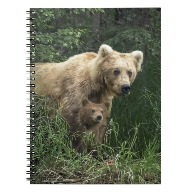 Cutest Baby djur | Bär Mamma och hennes Unge Anteckningsbok (Framsidan)