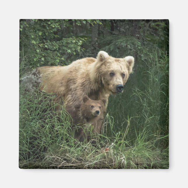 Cutest Baby djur | Bär Mamma och hennes Unge Magnet (Framsidan)
