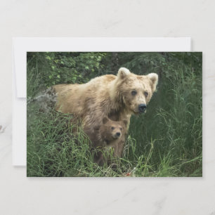 Cutest Baby djur Bär Mamma och hennes Unge Tack Kort