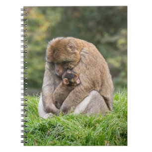 Cutest Baby djur   Barbary Macaque-familjen Anteckningsbok