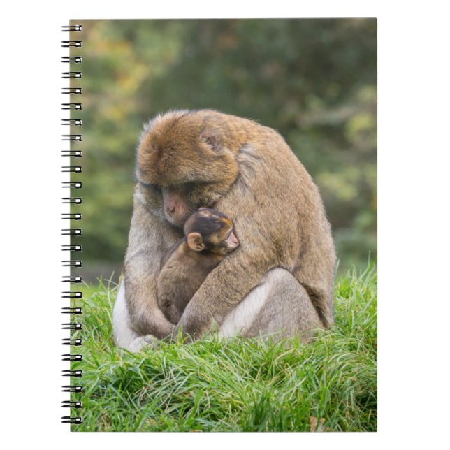 Cutest Baby djur | Barbary Macaque-familjen Anteckningsbok (Framsidan)