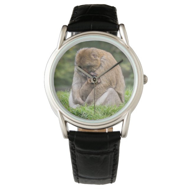 Cutest Baby djur | Barbary Macaque-familjen Armbandsur (Framsida)