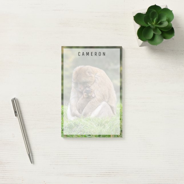 Cutest Baby djur | Barbary Macaque-familjen Post-it Block (Kontor)