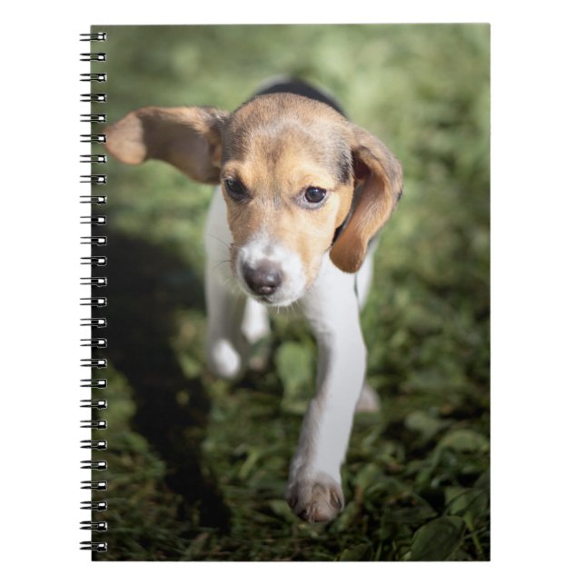 Cutest Baby djur | Beagle Puppy Anteckningsbok (Framsidan)