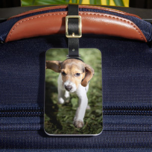 Cutest Baby djur Beagle Puppy Bagagebricka