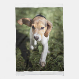 Cutest Baby djur Beagle Puppy Kökshandduk