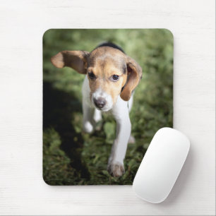 Cutest Baby djur Beagle Puppy Musmatta