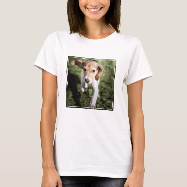 Cutest Baby djur | Beagle Puppy T Shirt (Framsida)