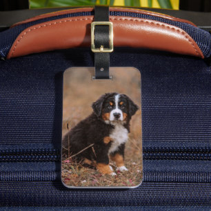 Cutest Baby djur Bernese Mountain Hund Bagagebricka