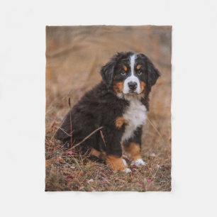 Cutest Baby djur   Bernese Mountain Hund Fleecefilt