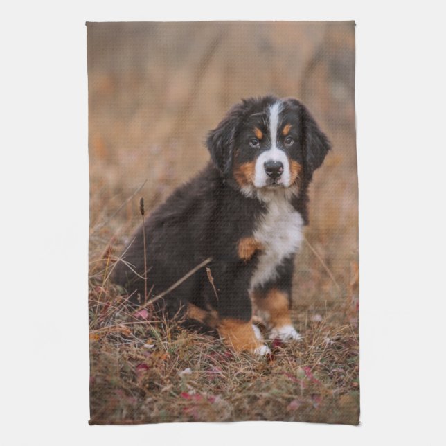 Cutest Baby djur | Bernese Mountain Hund Kökshandduk (Vertikal)