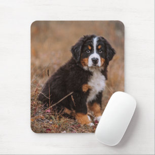 Cutest Baby djur Bernese Mountain Hund Musmatta