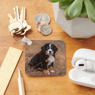 Cutest Baby djur Bernese Mountain Hund Nyckelring