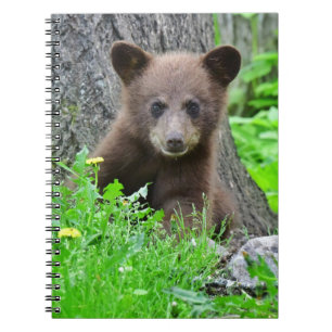 Cutest Baby djur Björn Unge Anteckningsbok
