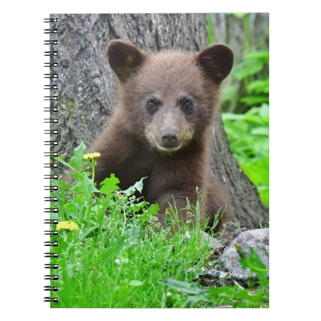 Cutest Baby djur | Björn Unge Anteckningsbok (Framsidan)