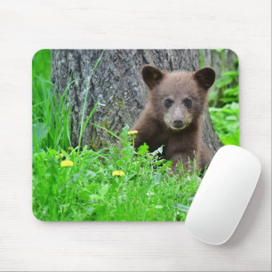 Cutest Baby djur Björn Unge Musmatta