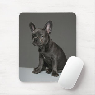 Cutest Baby djur Blå Fransk Bulldog Puppy Musmatta
