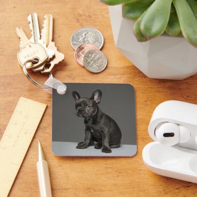 Cutest Baby djur | Blå Fransk Bulldog Puppy Nyckelring (Skrivbord)