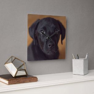 Cutest Baby djur Black Labour Puppy Fyrkantig Klocka