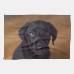Cutest Baby djur Black Labour Puppy Kökshandduk