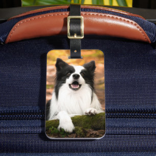 Cutest Baby djur Black & White Gräns Collie Bagagebricka