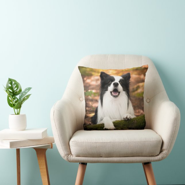 Cutest Baby djur | Black & White Gräns Collie Kudde (Stol)