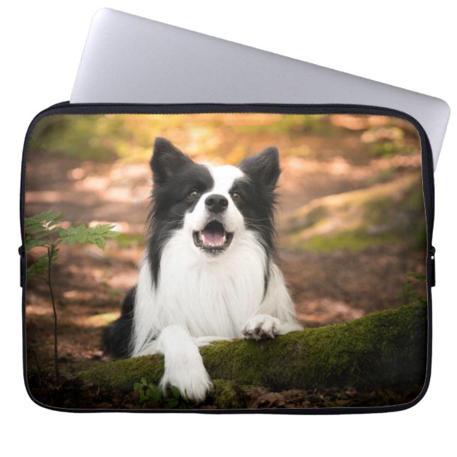Cutest Baby djur | Black & White Gräns Collie Laptop Fodral (Framsidan)
