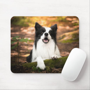 Cutest Baby djur   Black & White Gräns Collie Musmatta
