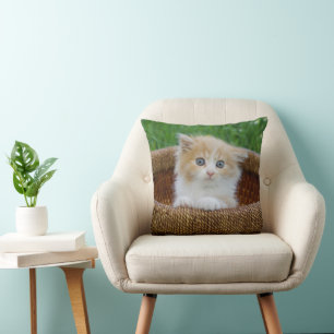 Cutest Baby djur Blue Eyed Kitten Kudde