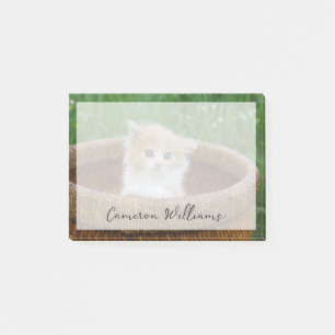 Cutest Baby djur Blue Eyed Kitten Post-it Block