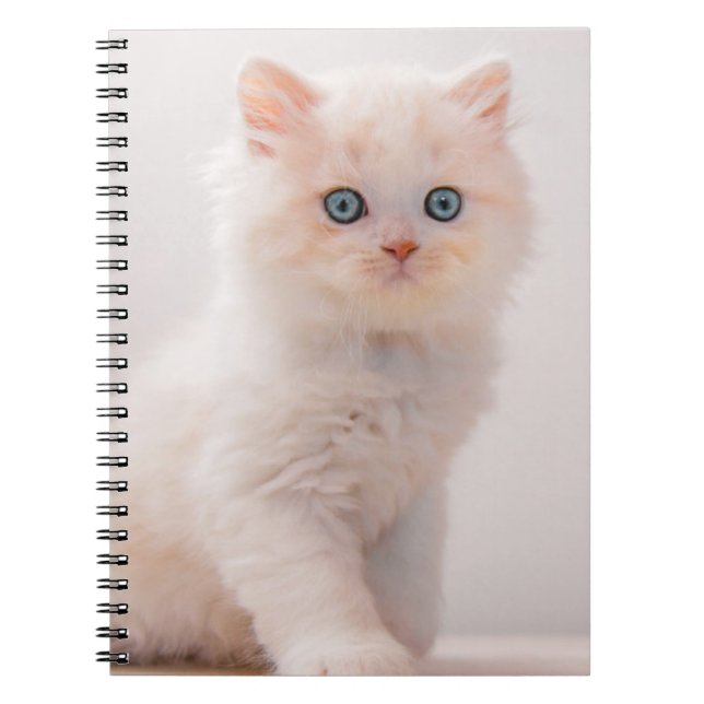 Cutest Baby djur | Blue Öga Kitten Anteckningsbok (Framsidan)