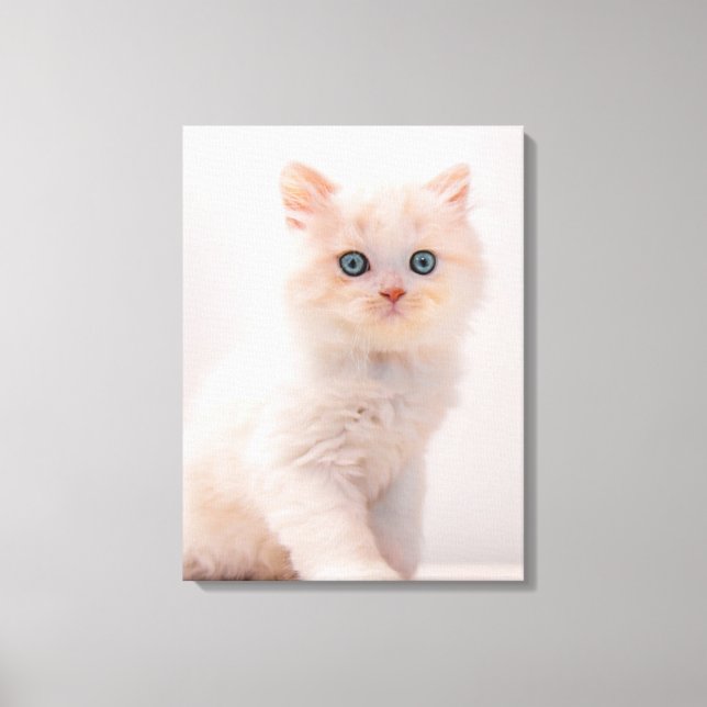 Cutest Baby djur | Blue Öga Kitten Canvastryck (Framsida)
