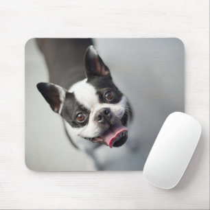 Cutest Baby djur Boston Bulldog Smile Musmatta